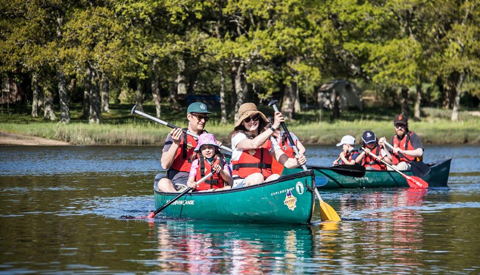 Father's Day with New Forest Activities